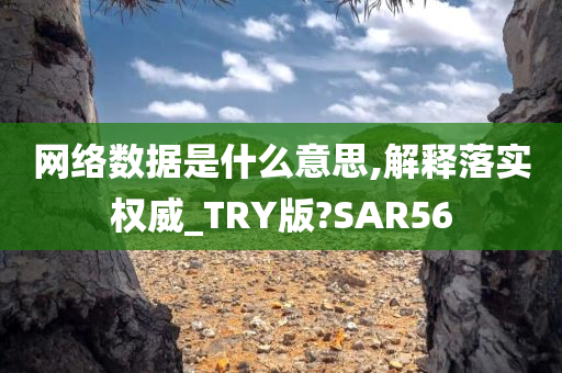 网络数据是什么意思,解释落实权威_TRY版?SAR56