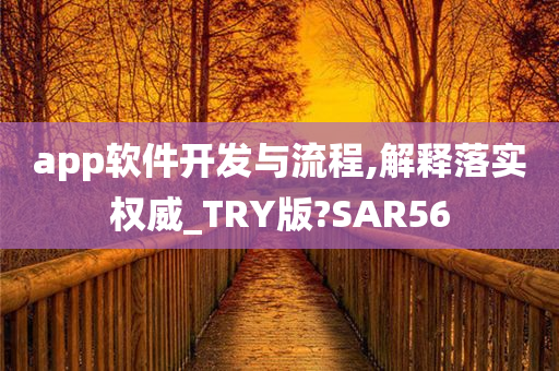 app软件开发与流程,解释落实权威_TRY版?SAR56