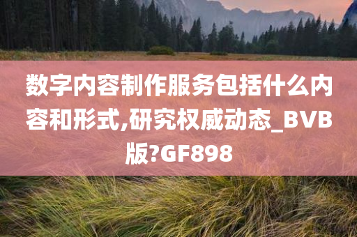 数字内容制作服务包括什么内容和形式,研究权威动态_BVB版?GF898