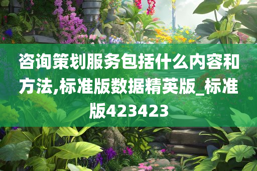 咨询策划服务包括什么内容和方法,标准版数据精英版_标准版423423