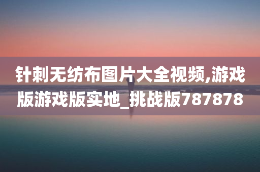 针刺无纺布图片大全视频,游戏版游戏版实地_挑战版787878