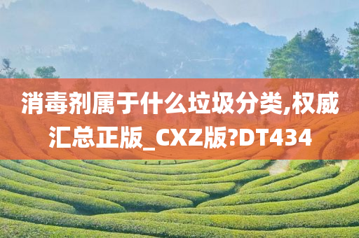 消毒剂属于什么垃圾分类,权威汇总正版_CXZ版?DT434