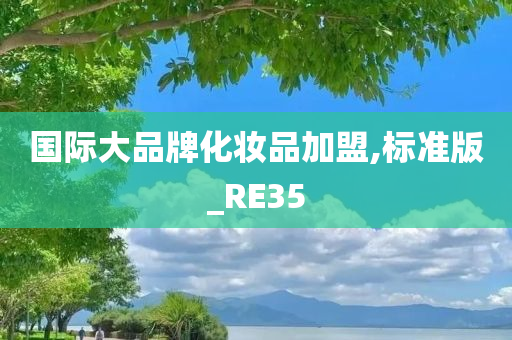 国际大品牌化妆品加盟,标准版_RE35