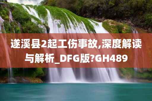 遂溪县2起工伤事故,深度解读与解析_DFG版?GH489