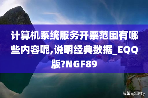 计算机系统服务开票范围有哪些内容呢,说明经典数据_EQQ版?NGF89