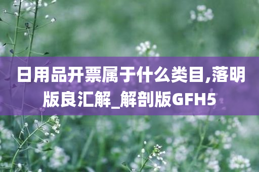 日用品开票属于什么类目,落明版良汇解_解剖版GFH5