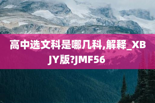 高中选文科是哪几科,解释_XBJY版?JMF56