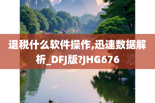 退税什么软件操作,迅速数据解析_DFJ版?JHG676