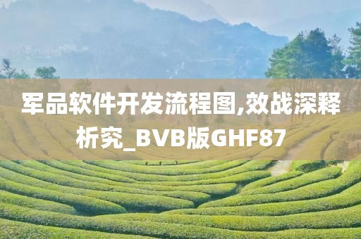 军品软件开发流程图,效战深释析究_BVB版GHF87