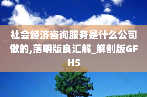 社会经济咨询服务是什么公司做的,落明版良汇解_解剖版GFH5