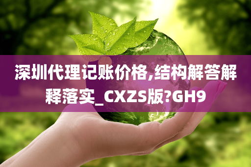 深圳代理记账价格,结构解答解释落实_CXZS版?GH9