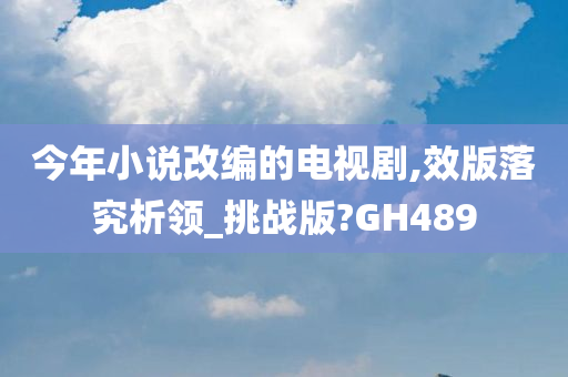 今年小说改编的电视剧,效版落究析领_挑战版?GH489