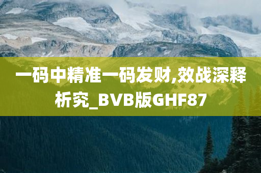 一码中精准一码发财,效战深释析究_BVB版GHF87