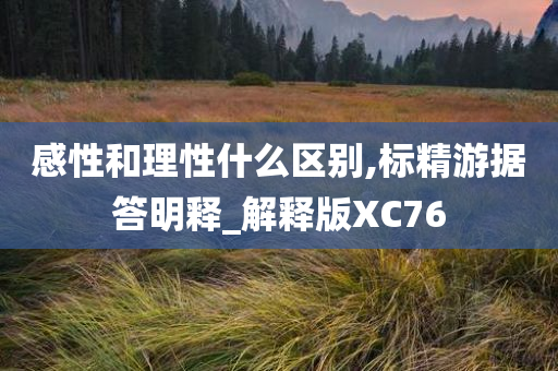 感性和理性什么区别,标精游据答明释_解释版XC76