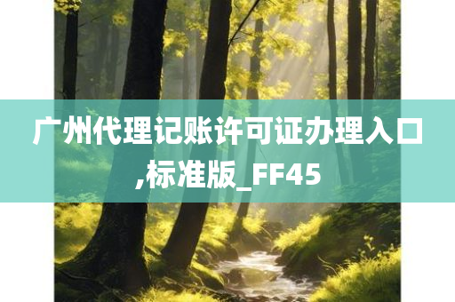 广州代理记账许可证办理入口,标准版_FF45