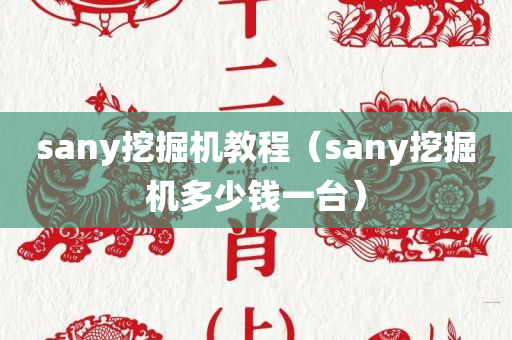 sany挖掘机教程（sany挖掘机多少钱一台）