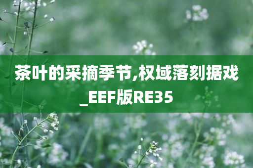 茶叶的采摘季节,权域落刻据戏_EEF版RE35