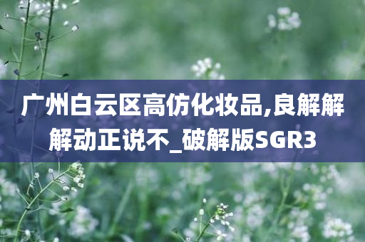 广州白云区高仿化妆品,良解解解动正说不_破解版SGR3