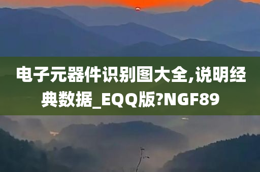 电子元器件识别图大全,说明经典数据_EQQ版?NGF89