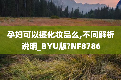 孕妇可以擦化妆品么,不同解析说明_BYU版?NF8786