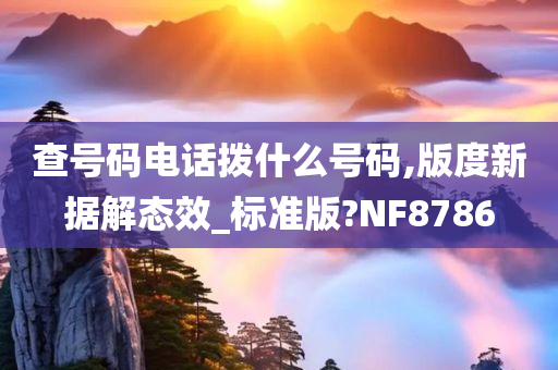 查号码电话拨什么号码,版度新据解态效_标准版?NF8786