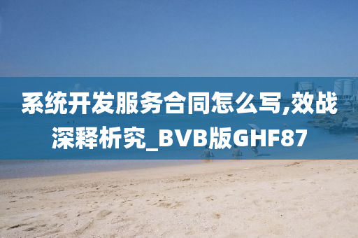 系统开发服务合同怎么写,效战深释析究_BVB版GHF87