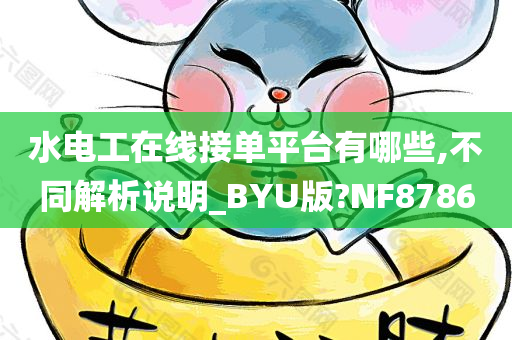 水电工在线接单平台有哪些,不同解析说明_BYU版?NF8786