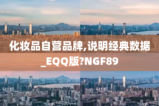 化妆品自营品牌,说明经典数据_EQQ版?NGF89