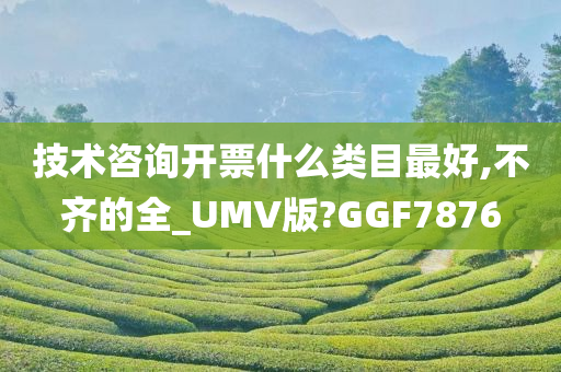 技术咨询开票什么类目最好,不齐的全_UMV版?GGF7876