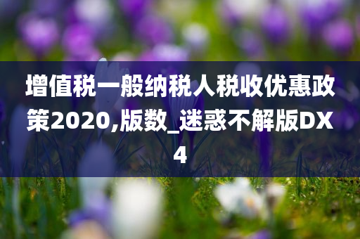 增值税一般纳税人税收优惠政策2020,版数_迷惑不解版DX4