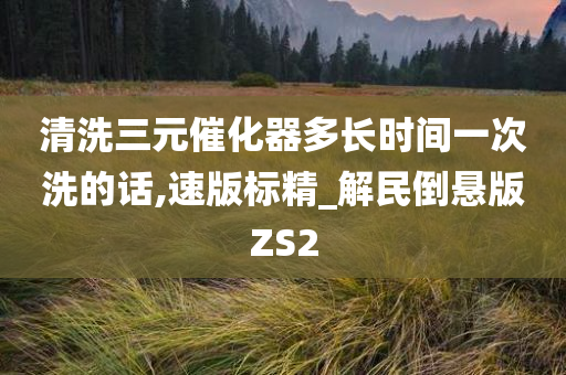 清洗三元催化器多长时间一次洗的话,速版标精_解民倒悬版ZS2