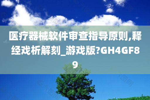 医疗器械软件审查指导原则,释经戏析解刻_游戏版?GH4GF89