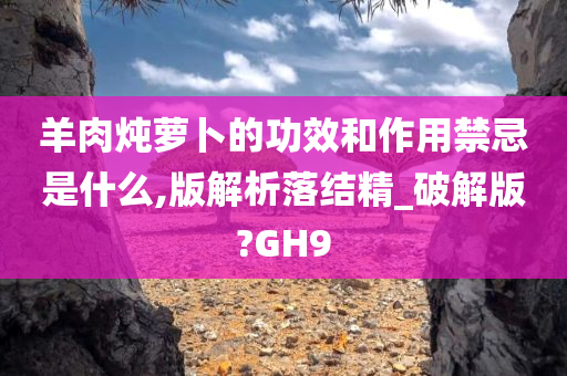 羊肉炖萝卜的功效和作用禁忌是什么,版解析落结精_破解版?GH9