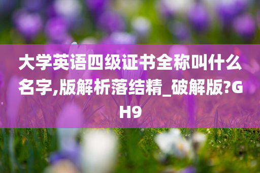 大学英语四级证书全称叫什么名字,版解析落结精_破解版?GH9