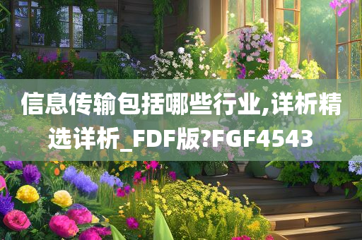 信息传输包括哪些行业,详析精选详析_FDF版?FGF4543