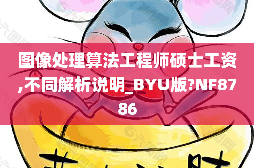 图像处理算法工程师硕士工资,不同解析说明_BYU版?NF8786