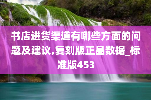 书店进货渠道有哪些方面的问题及建议,复刻版正品数据_标准版453