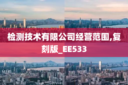 检测技术有限公司经营范围,复刻版_EE533