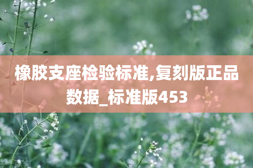 橡胶支座检验标准,复刻版正品数据_标准版453