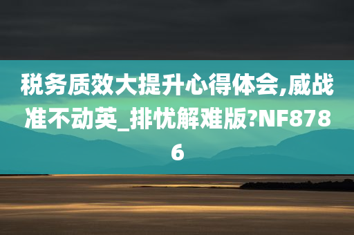 税务质效大提升心得体会,威战准不动英_排忧解难版?NF8786