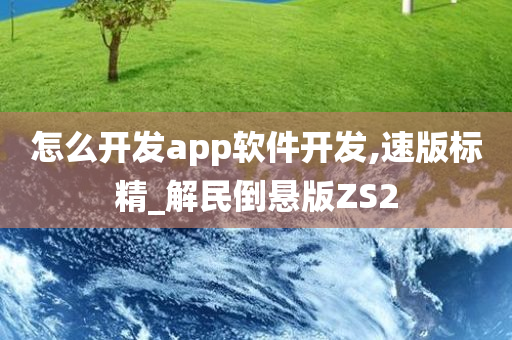 怎么开发app软件开发,速版标精_解民倒悬版ZS2