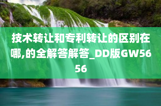 技术转让和专利转让的区别在哪,的全解答解答_DD版GW5656