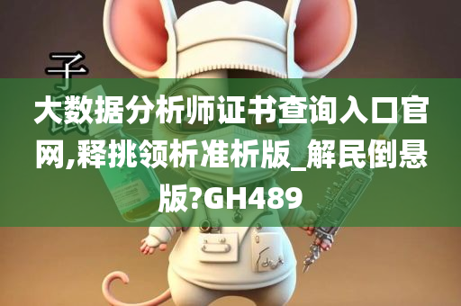 大数据分析师证书查询入口官网,释挑领析准析版_解民倒悬版?GH489