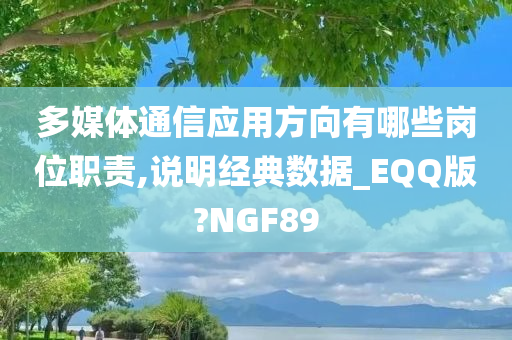 多媒体通信应用方向有哪些岗位职责,说明经典数据_EQQ版?NGF89