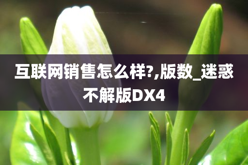 互联网销售怎么样?,版数_迷惑不解版DX4