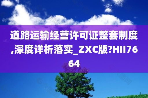 道路运输经营许可证整套制度,深度详析落实_ZXC版?HII7664