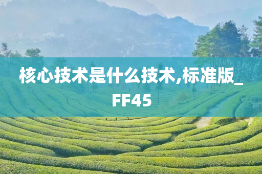 核心技术是什么技术,标准版_FF45