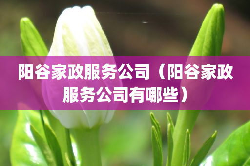 阳谷家政服务公司（阳谷家政服务公司有哪些）