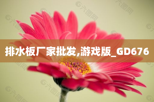 排水板厂家批发,游戏版_GD676