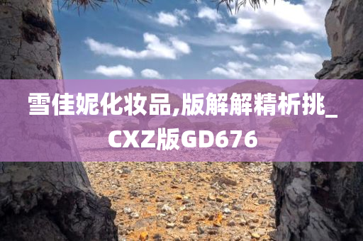 雪佳妮化妆品,版解解精析挑_CXZ版GD676